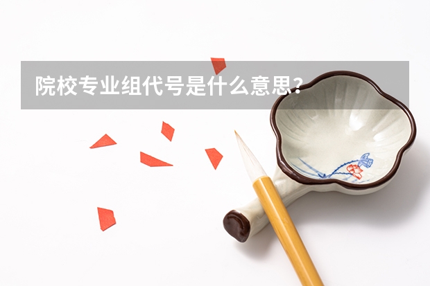 院校专业组代号是什么意思?