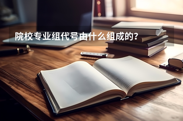 院校专业组代号由什么组成的?